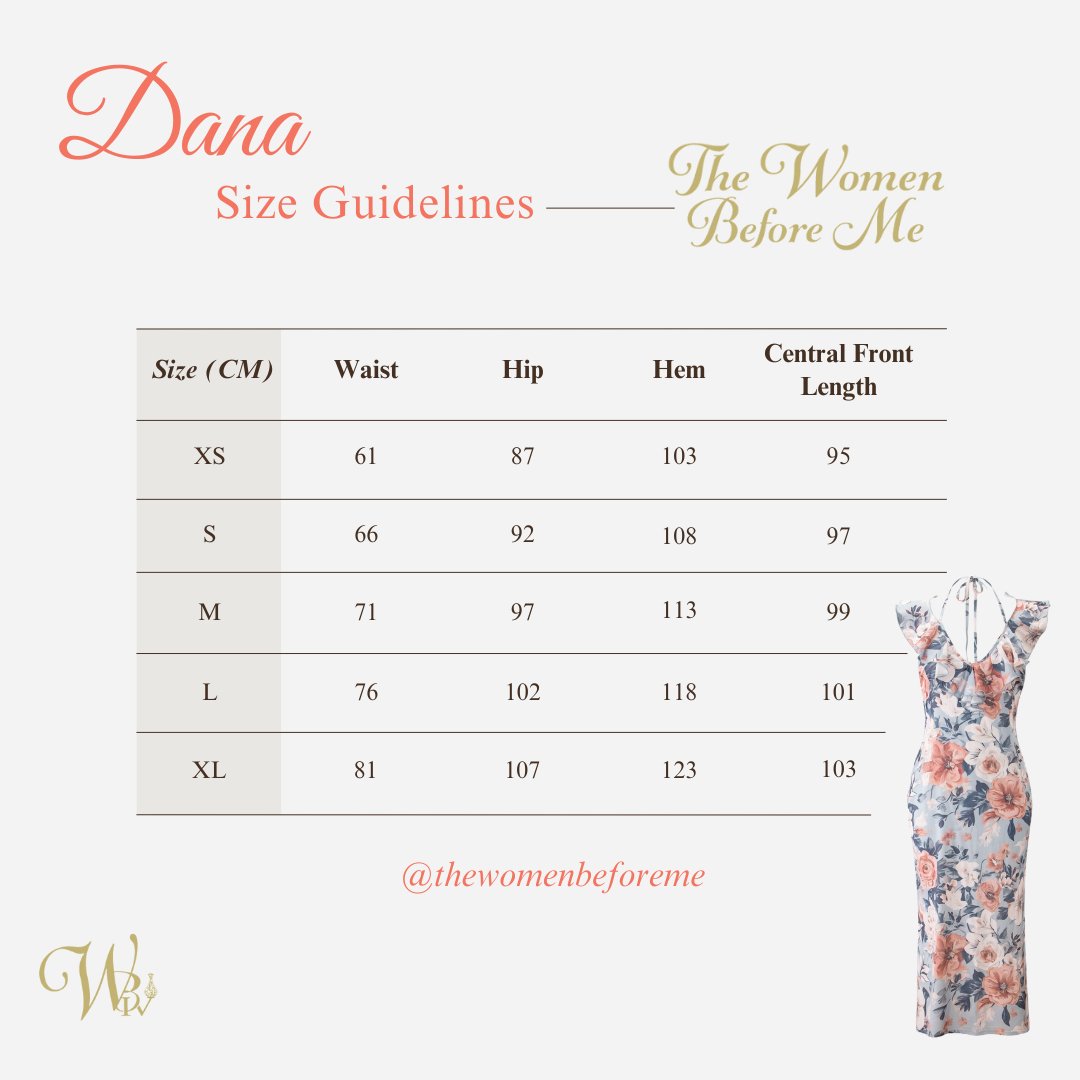 The Dana Dress - The Women Before Me