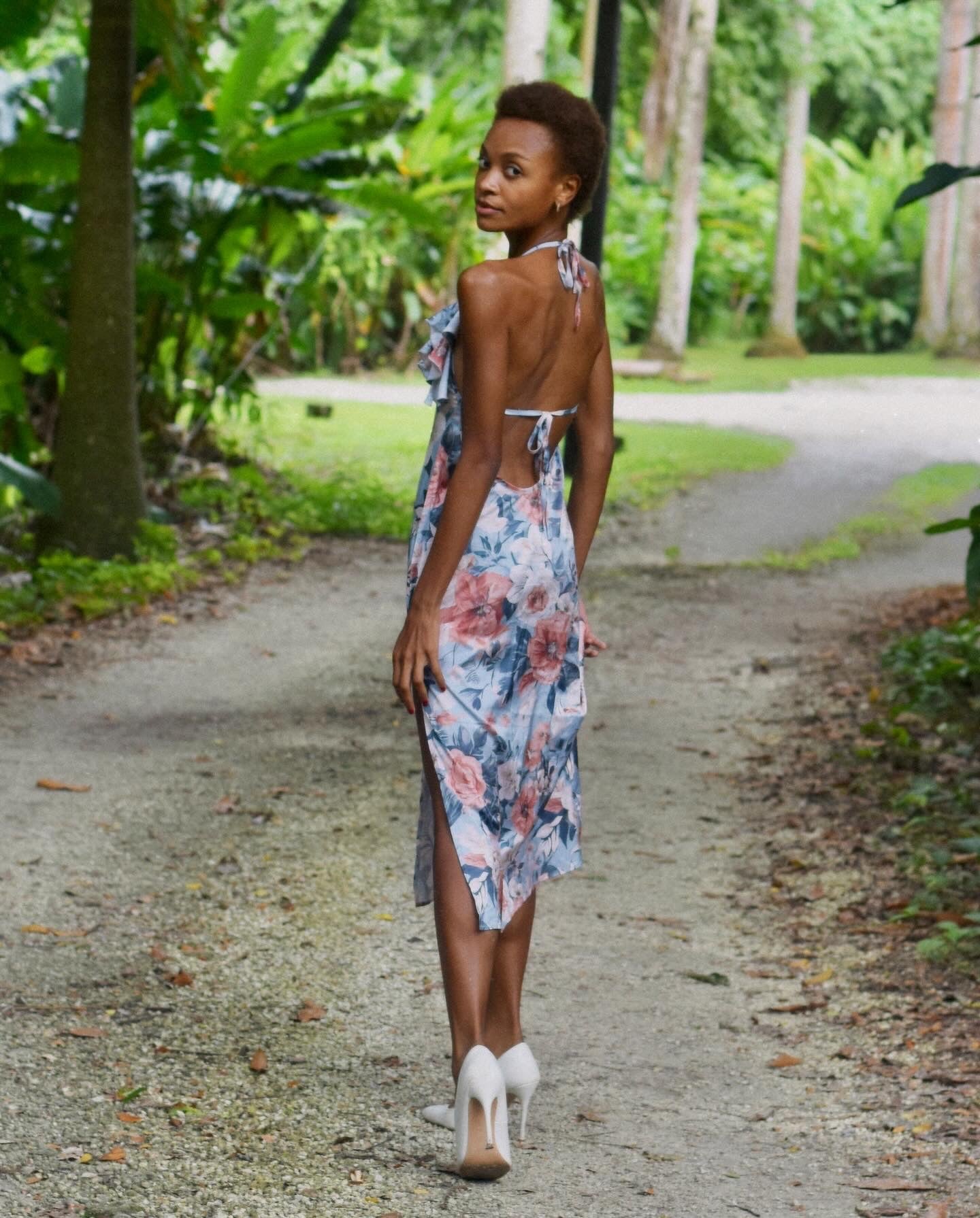 The Sexy Dana Dress - The Women Before Me